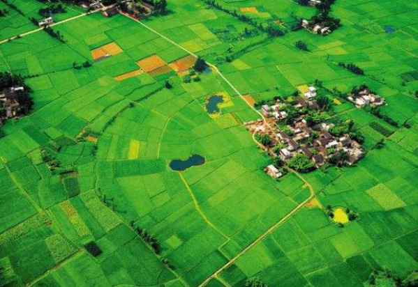 betway必威西汉姆联